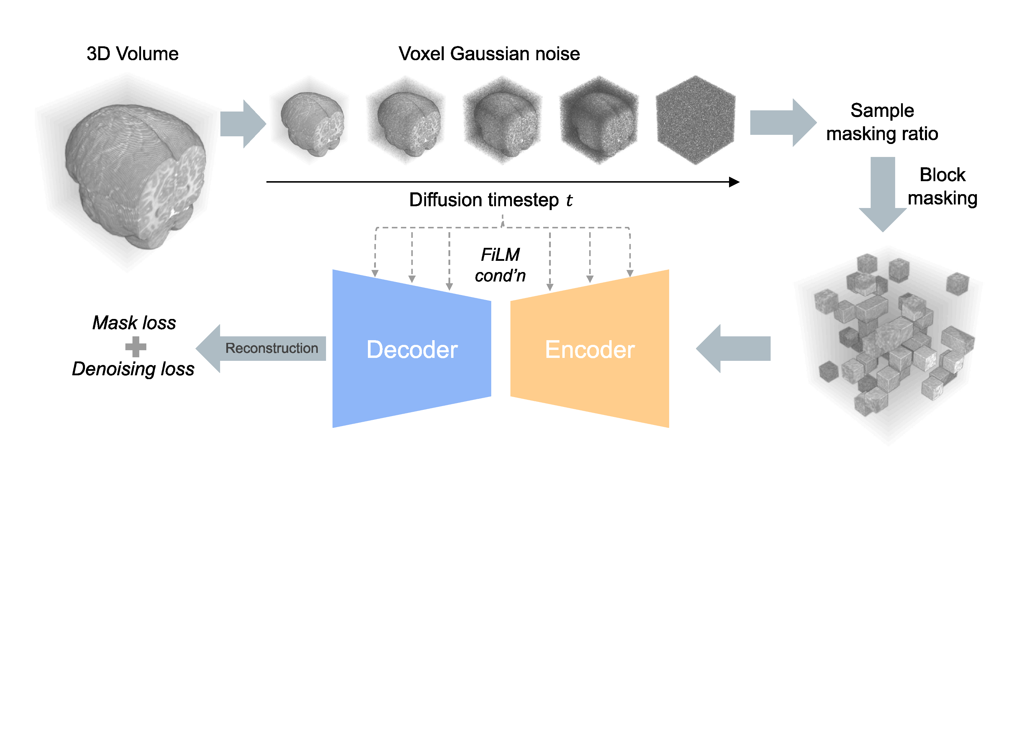 MDAE Framework: Dual corruption pipeline combining spatial masking and diffusion noise for 3D medical volume representation learning
